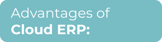 Advantages of Clourd ERP